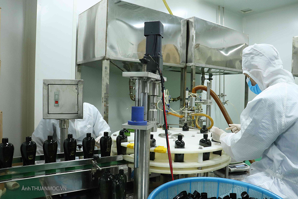 Quy trình sản xuất dầu gội Thanh mộc hương