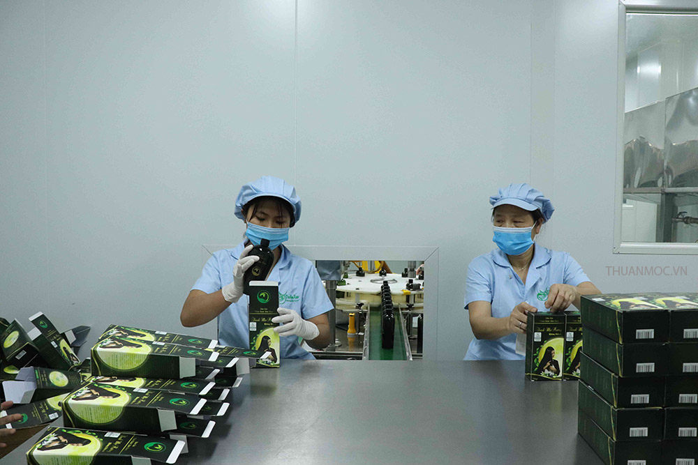 Quy trình đóng gói dầu gội Thanh mộc hương
